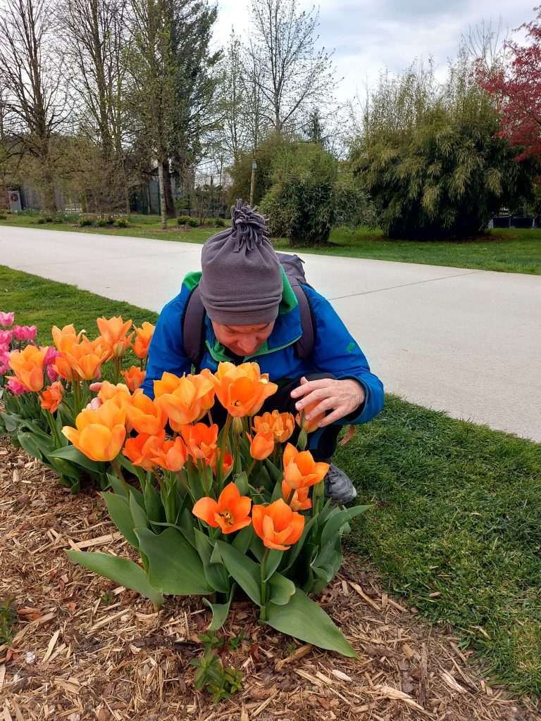 MDSS Ljubljana v Arboretumu Volčji Potok, 13.4.2026, Mitja Bregar med otipanjem in vonjanjem tulipanov